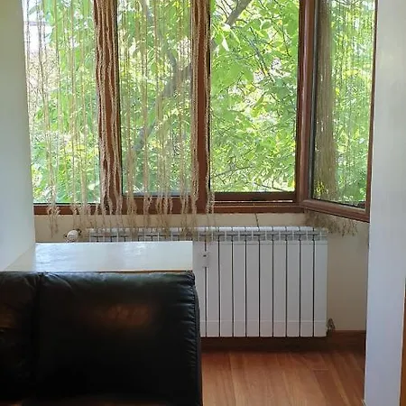 2 Mihai Bravu